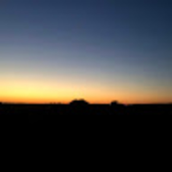 Meet your Posher, Hazel - Picture 1 of 1